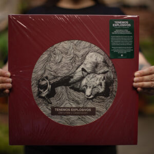 Vinilo Derrumbe y Celebración