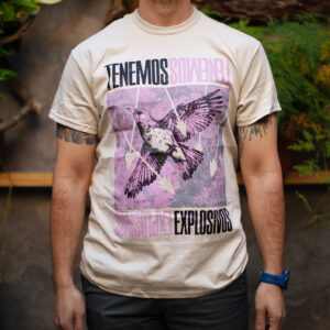Polera pájaro y flechas